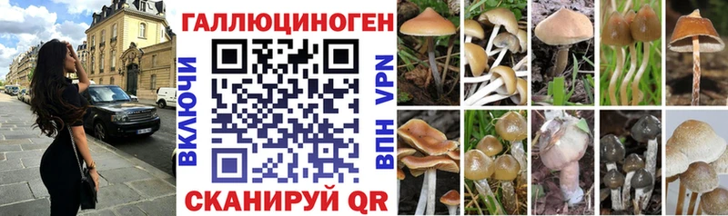 Галлюциногенные грибы Magic Shrooms ссылка на мегу как зайти Шумиха купить наркотики сайты