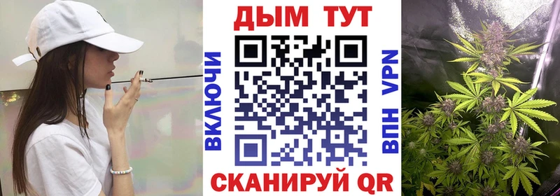 Канабис THC 21%  Шумиха 
